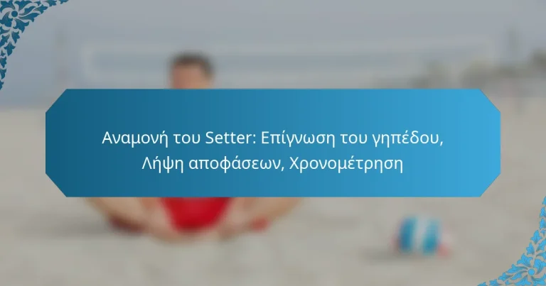 Αναμονή του Setter: Επίγνωση του γηπέδου, Λήψη αποφάσεων, Χρονομέτρηση