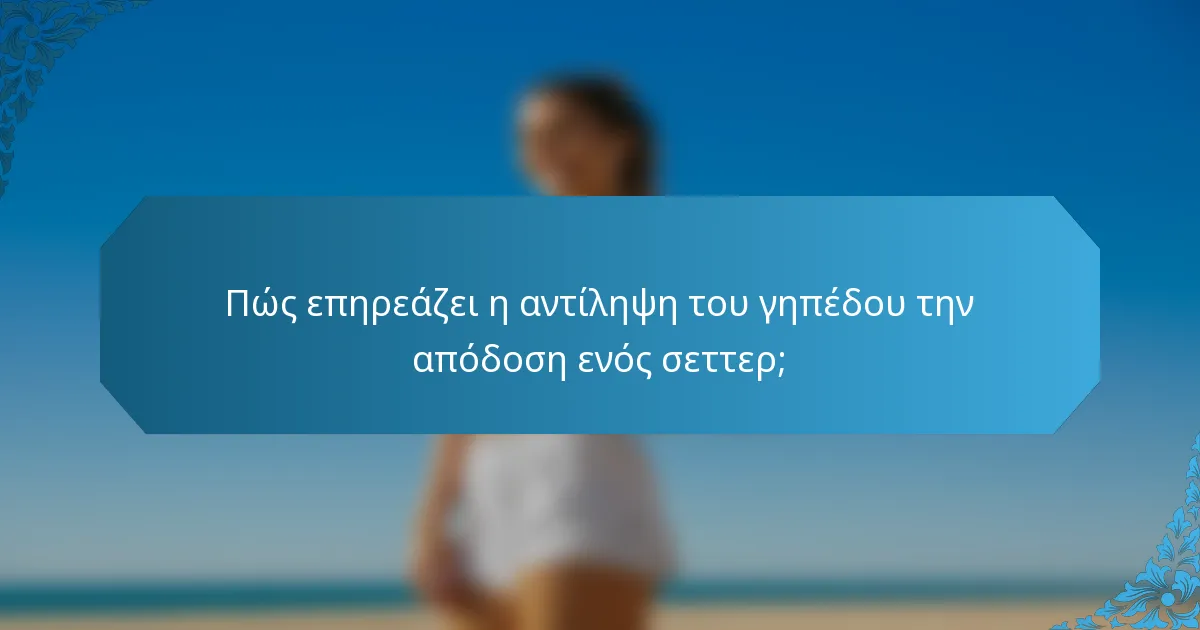 Πώς επηρεάζει η αντίληψη του γηπέδου την απόδοση ενός σεττερ;
